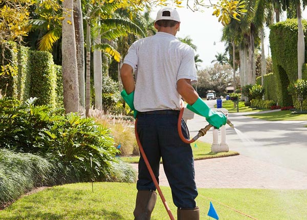 About Augusta MI Pest Control